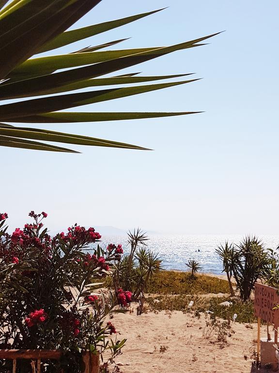 Goldie'S Home By The Sea Artemida  Esterno foto
